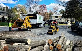 Millbrook, AL Tree Services Company